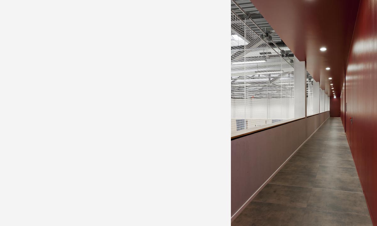 _BWK5481 neu entrauscht.jpg